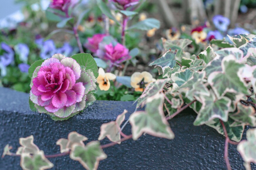 Girlgirl/istockphoto.com