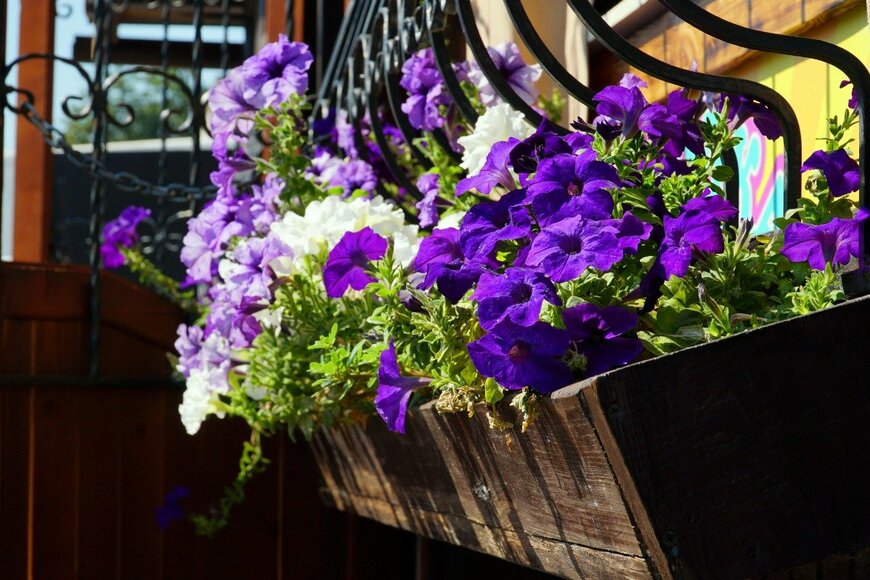 Nelia BOHATYR/istockphoto.com