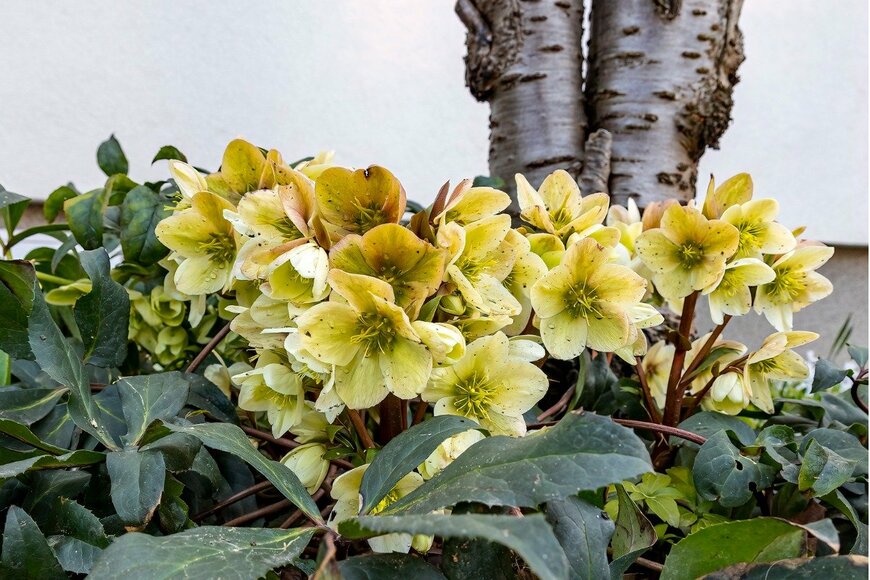 sveart/istockphoto.com