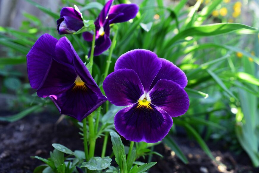 Oleksandr Filatov/shutterstock.com