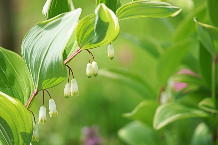 igaguri_1/istockphoto.com