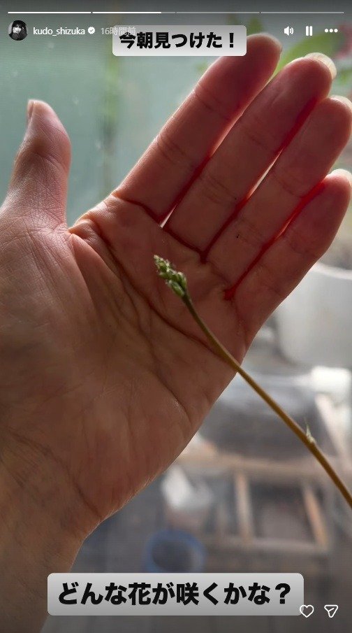 出所：工藤静香のInstagram（＠kudo_shizuka）　参照日：2026年4月10日