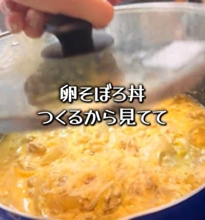 使う調味料はめんつゆオンリー！同棲カップルの彼女が作る【映えないけど簡単な卵そぼろ丼弁当】が手軽でおいしそう