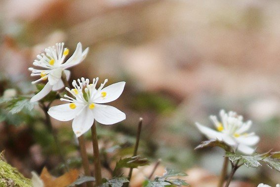 写真：筆者撮影