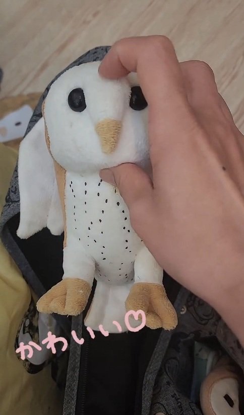 【ヤキモチ妬きなフクロウ】ぬいぐるみをナデナデしていたら…　直後の衝撃の展開に「かわいすぎ」の声