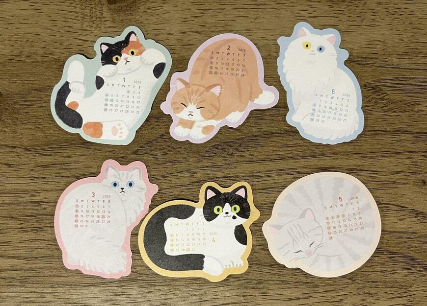 筆者撮影（キャンドゥ、フレークシールカレンダー 24P にゃんこ）