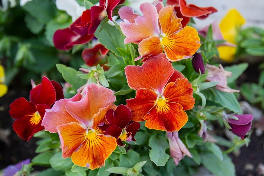 Yasin Caglayan/istockphoto.com