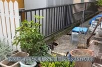 「わくわくする空間に」お隣との境目にナチュラルな木製フェンスDIY　おしゃれに目隠し