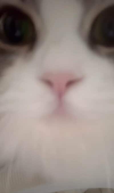 カメラに寄りすぎてドアップに