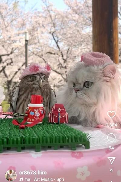 投稿動画のワンシーン