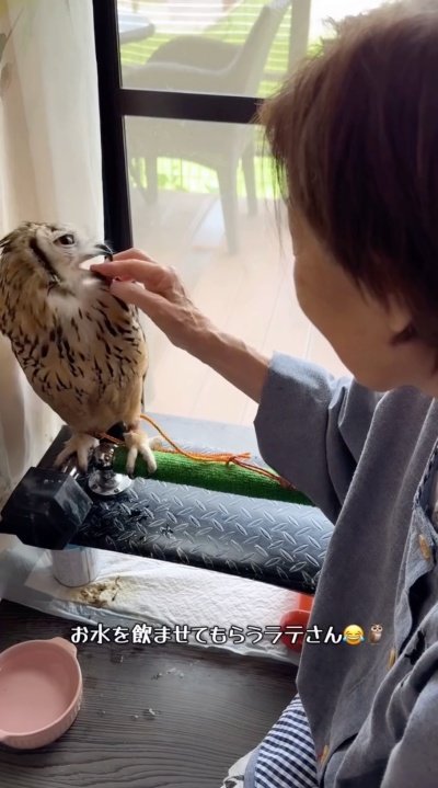 投稿動画のワンシーン