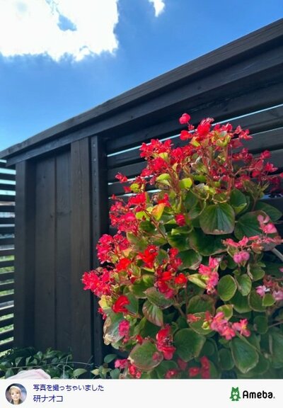 研ナオコが投稿した写真