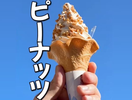 千葉県の道の駅で味わう「ピーナッツソフト」とは？　「超濃厚な香りと味わい」「めちゃおいしそう！」との声