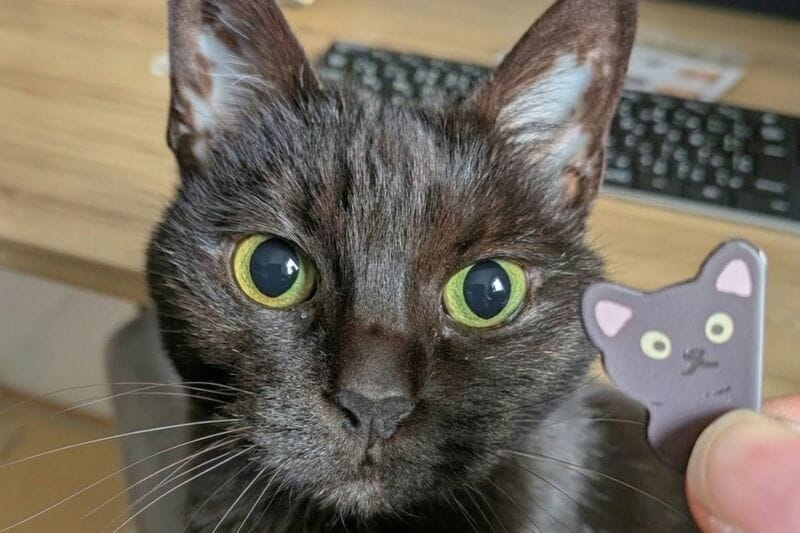 セリア　ポイントマグネット