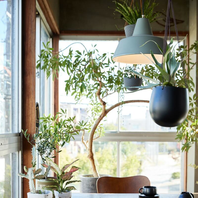 ニトリ、ハンギングポット写真