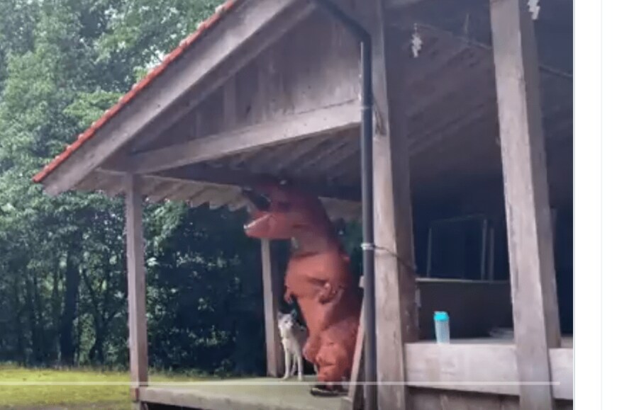 出所：@whiteyyyyyyys