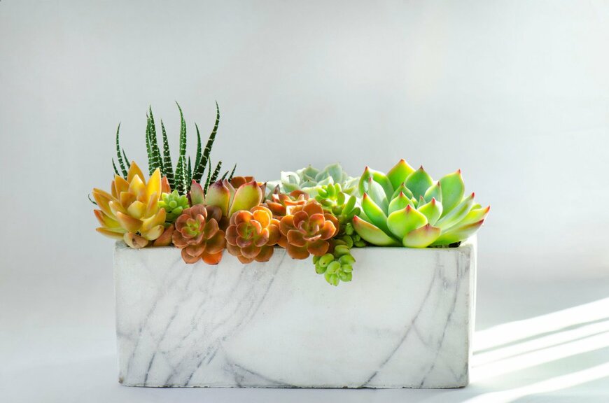 panattar/shutterstock.com