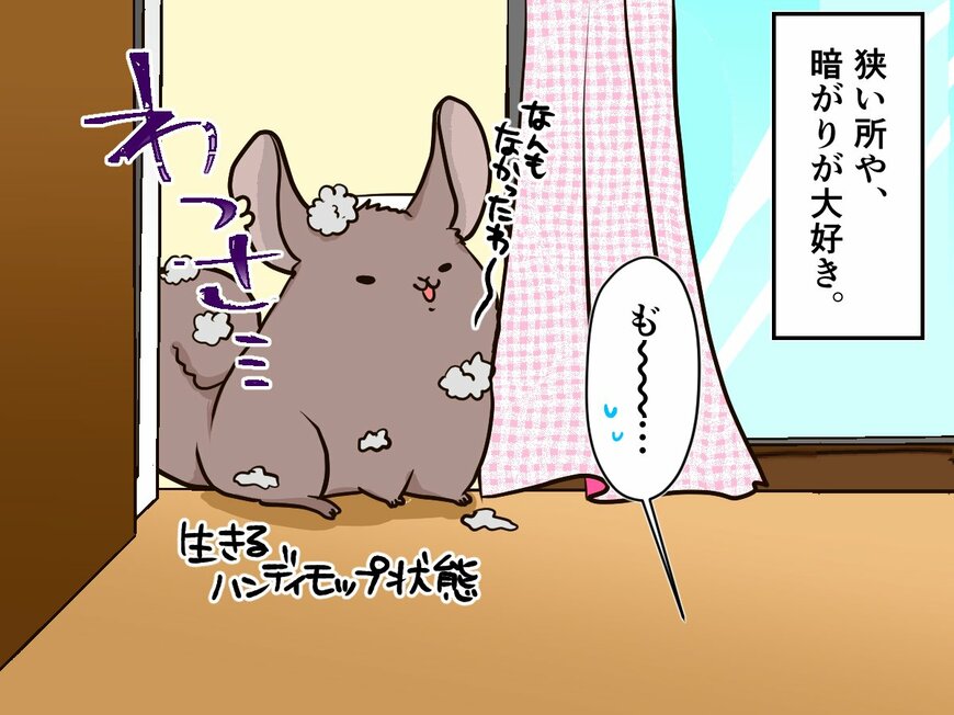 お年頃のチンチラのために元職人の飼い主が手作りしたグッズとは【チンチライフ21話】