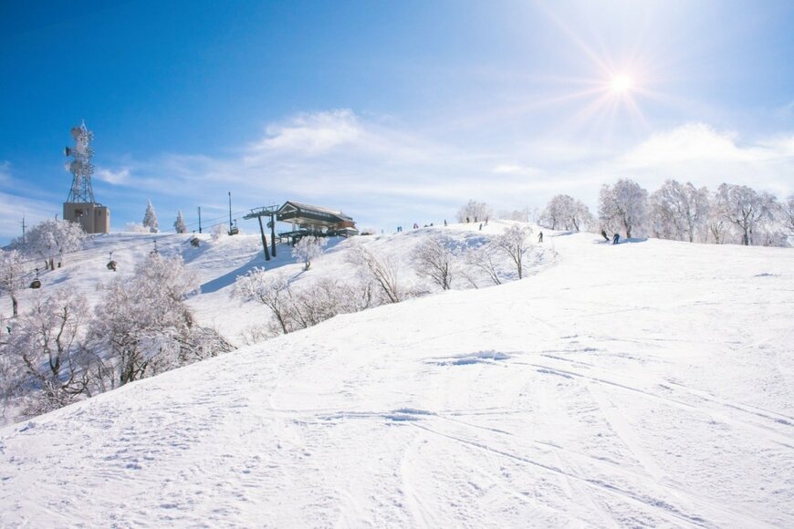 野沢温泉スキー場で6年撮影した積雪量　道路標識を入れた定点観測に「2022年がすごい」と驚く声も