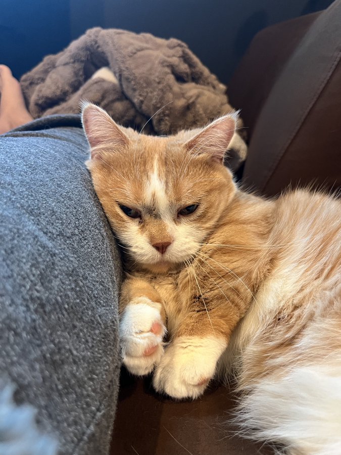 出所：@kotaro_0315