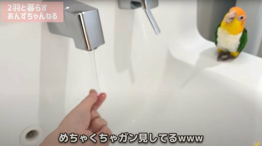 出所：@anz_omomiri