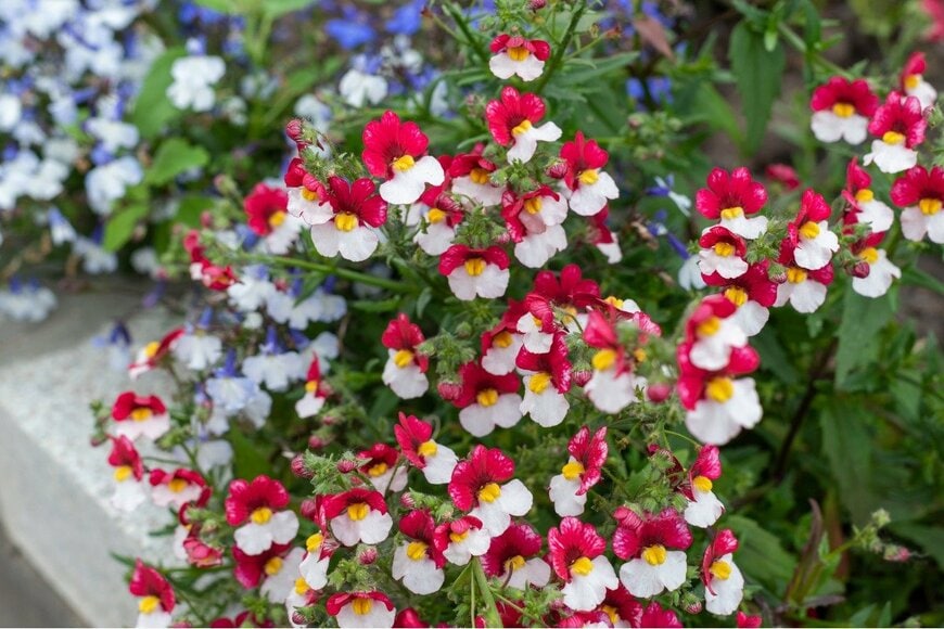 delobol/istockphoto.com