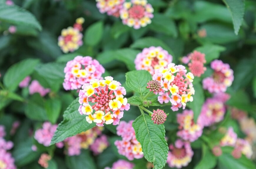 LFO62/istockphoto.com