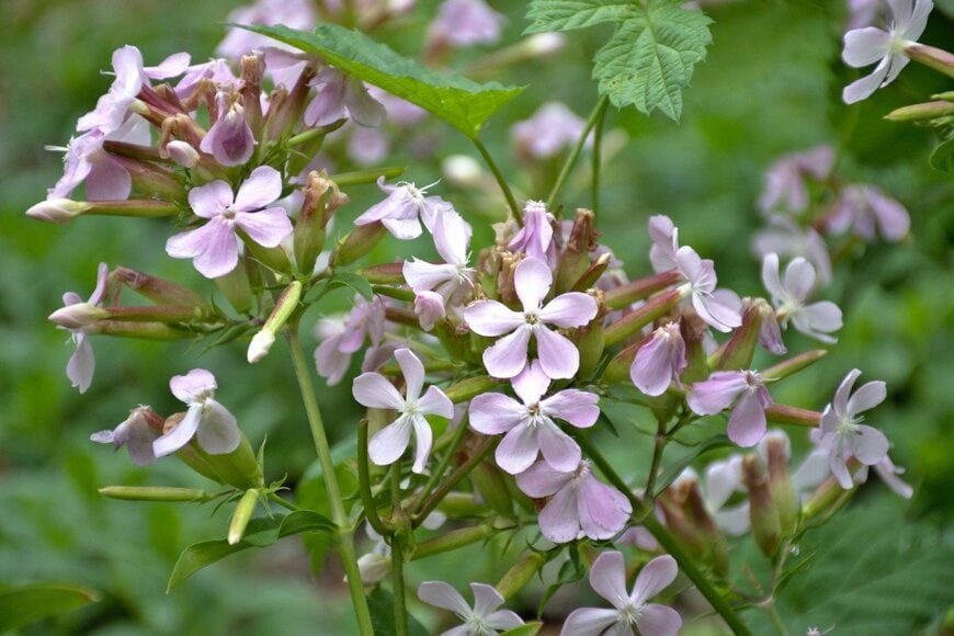 Iker Zabaleta/istockphoto.com