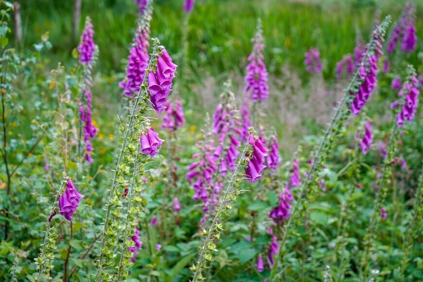 Robert Moore/istockphoto.com