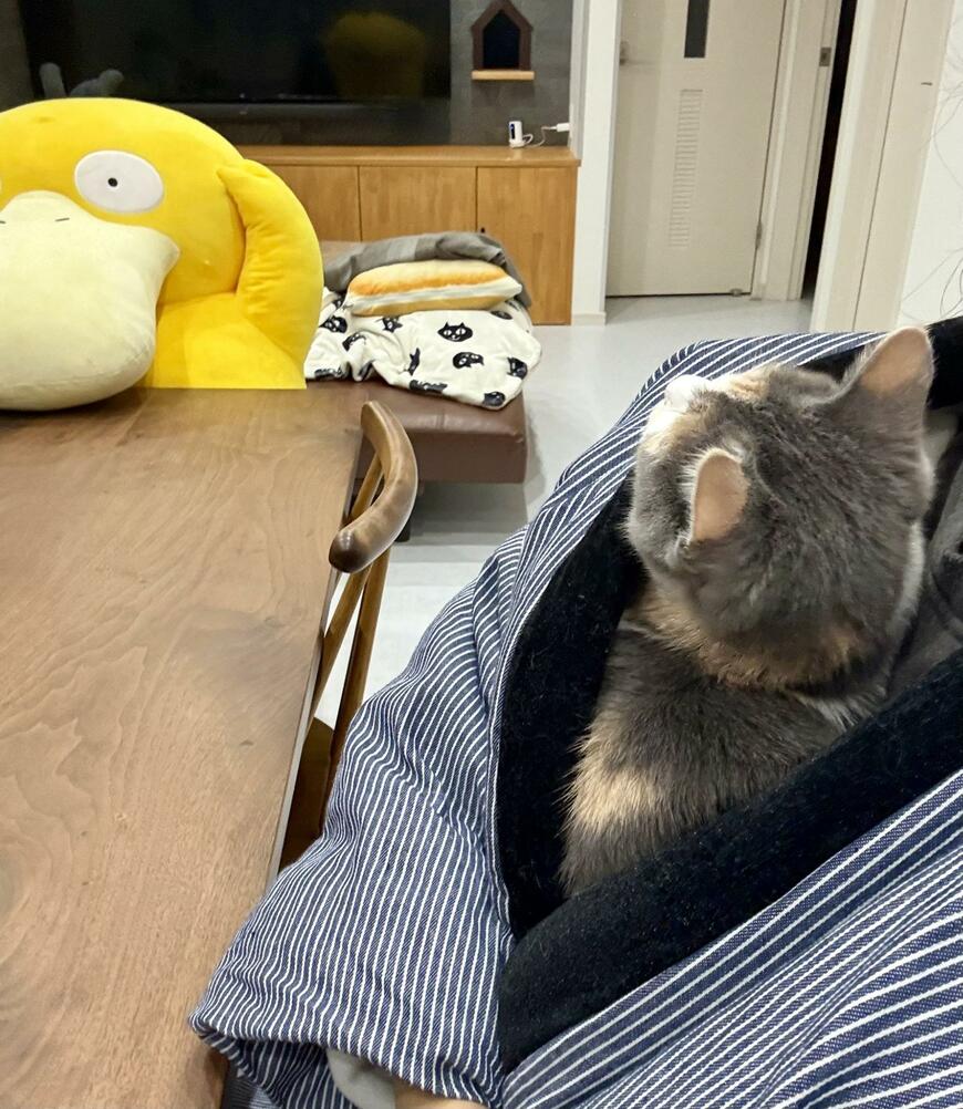 出所：@omochi_nam01