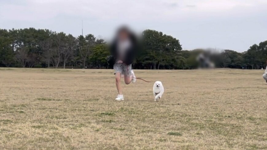 出所：@boku_ponchan