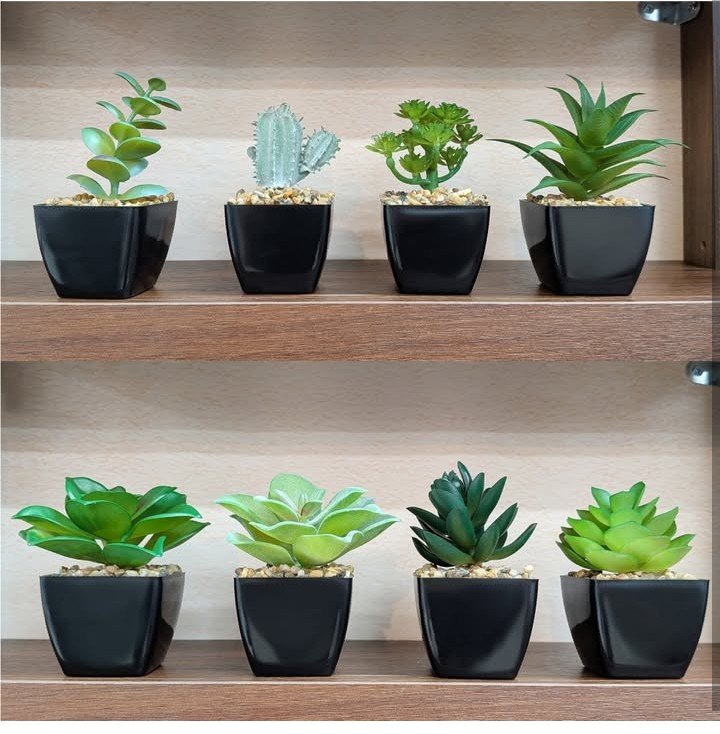 画像出所：ダイソー公式Instagram