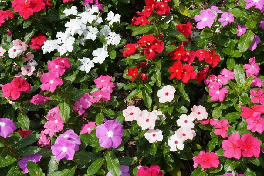 Coast-to-Coast/istockphoto.com