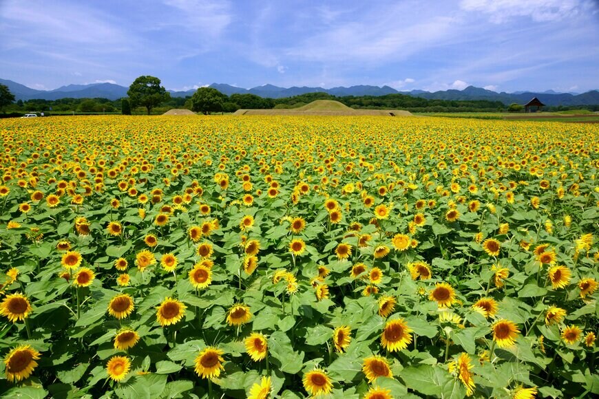 出所：宮崎県