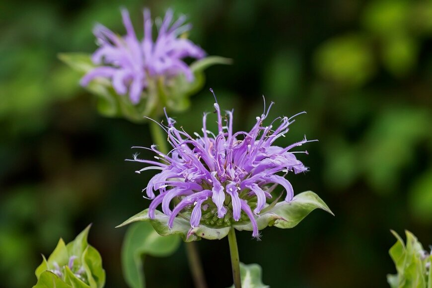 Karel Bock/istockphoto.com