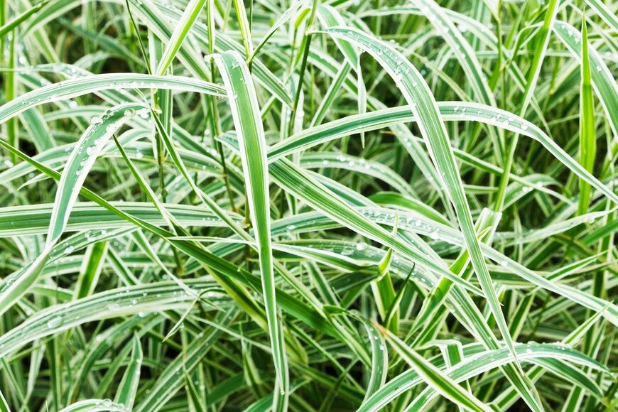 VvoeVale/istockphoto.com