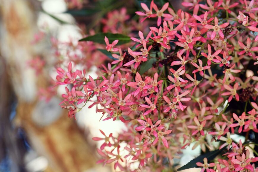 KarenHBlack/Shutterstock.com