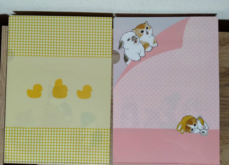 筆者撮影（セリア、mofusand A4クリアファイル3(全2種)）