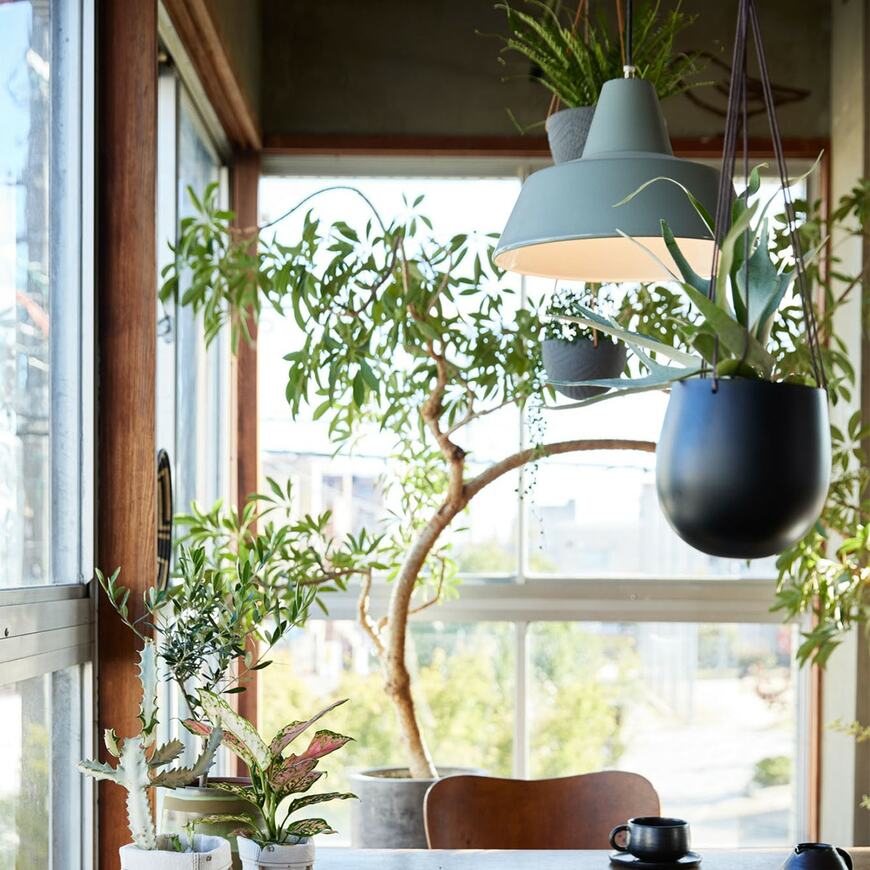 出所：ニトリ公式通販ニトリネット　ハンギンググリーンポット（ブラック）