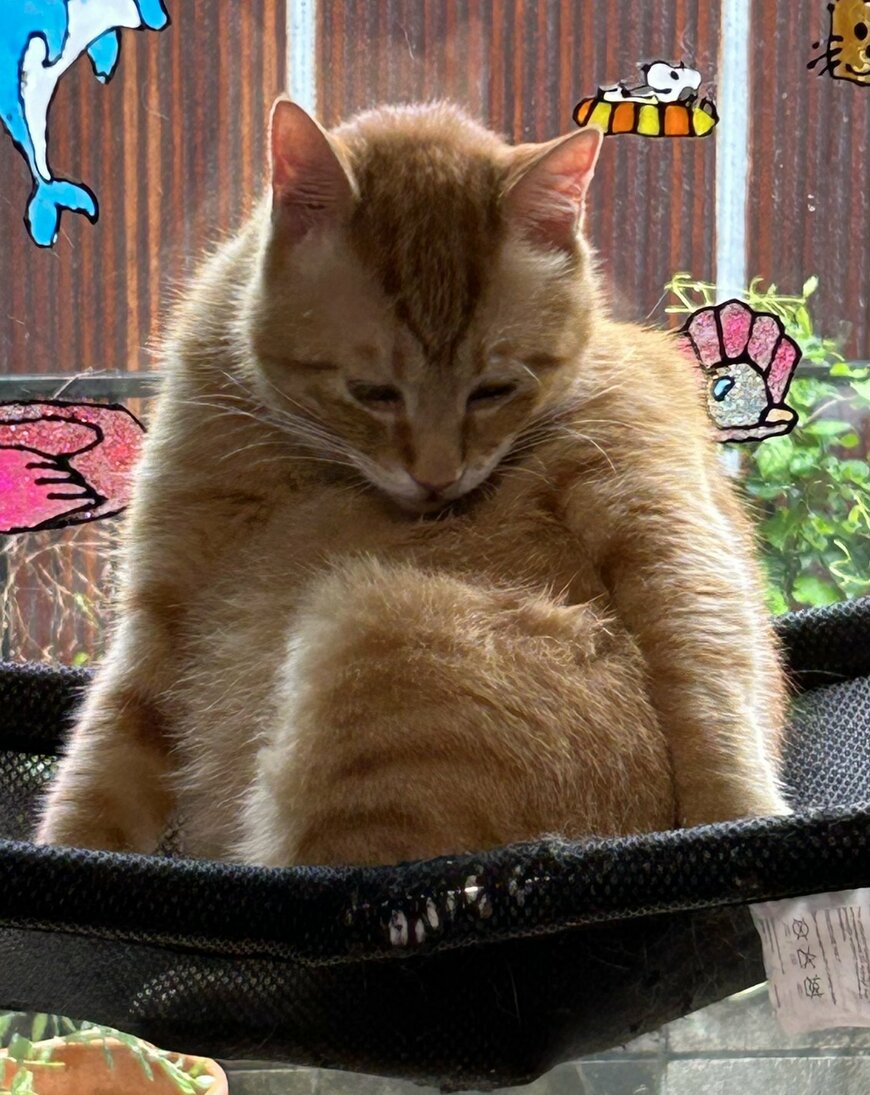 出所：@Beercat_Ana_Dar