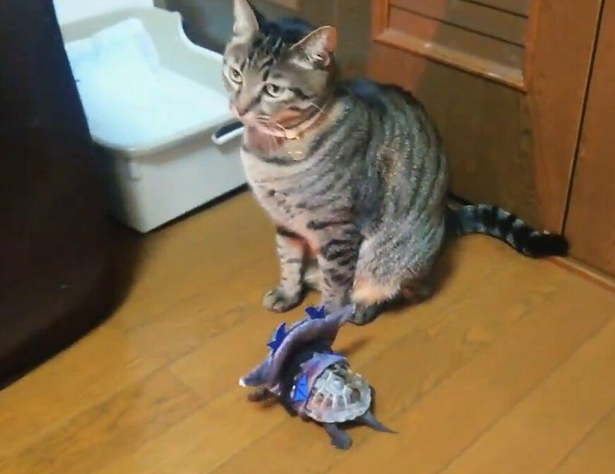 出所：@Mh0MLiErcV8E97C