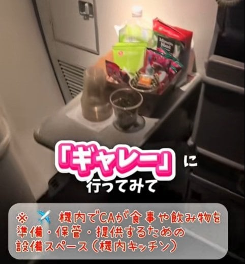 スナックや飲み物取り放題の機内キッチンの「ギャレー」