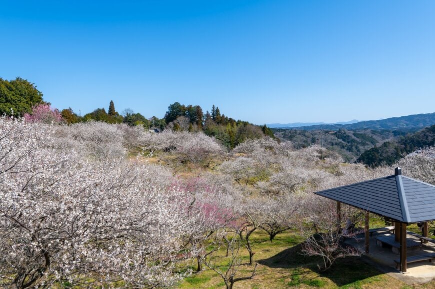 奈良県・京都府・三重県の県境付近に位置する「月ヶ瀬」