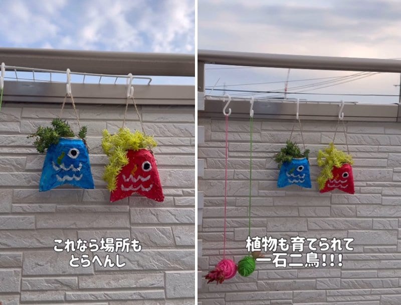 投稿の画像