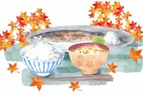 「年金だけで生活する高齢者」たった2年で4世帯に1世帯へ半減。割合を円グラフで比較