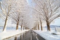 2025年1月以降も実施！全国旅行支援に続く冬の旅行で利用したい県のキャンペーンまとめ 