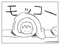 実はナルシスト!? モコモコ過ぎる猫「モコ」の、おうちでの過ごし方を見てみよう