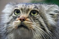 厚生年金「月16万円以上」は平均より多い？少ない？年金振込通知書もチェック【6月は年金支給月】