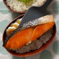 【お弁当術】彩り豊かな副菜を敷き詰める夫と息子のお弁当。蒸し焼きの鮭を主役に、にんじんや紫芋、花のゆで卵を合わせ、日々の見た目と栄養バランスを整える献立の工夫