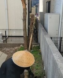雑草や木が伸びきってしまった〈庭の花壇〉→スッキリ片付けて〈美しく整ったガーデンスペース〉に大変身！「凄いやんけ～！」と話題